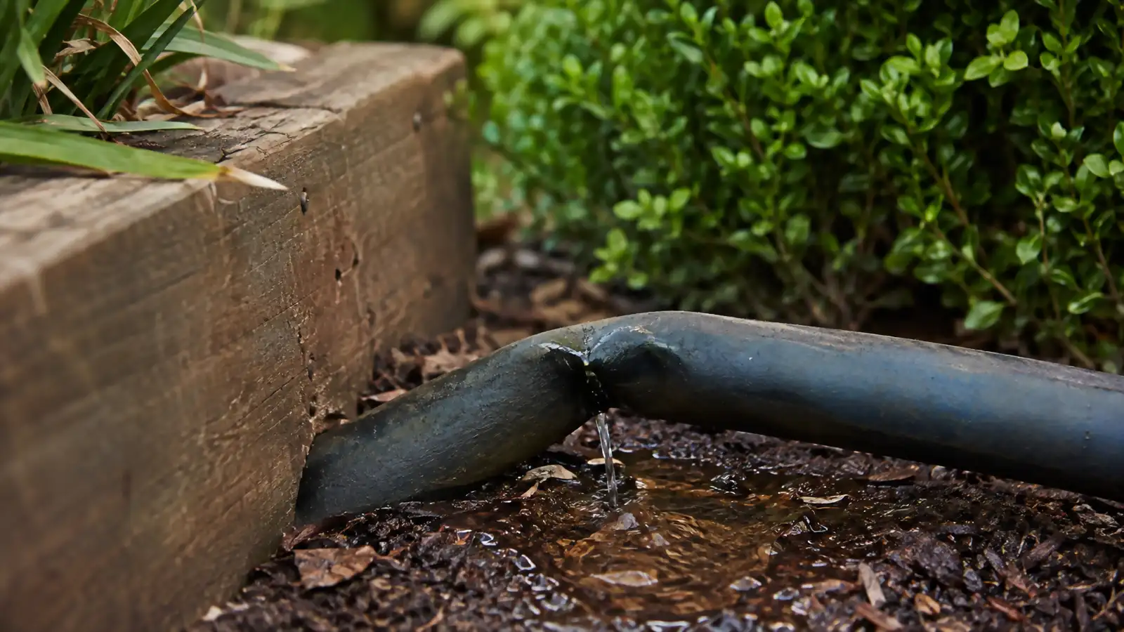 A kinked rubber garden hose lying against a raised wooden garden bed with water pooling near the bend